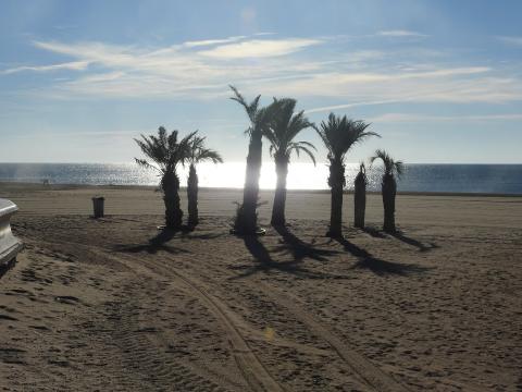 Appartement face  la mer