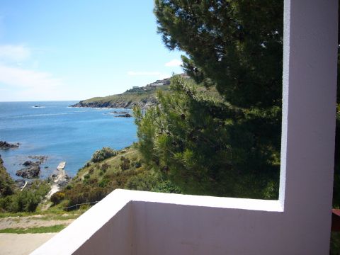 Apartamento en Banyuls sur mer - Detalles sobre el alquiler n65335 Foto n3