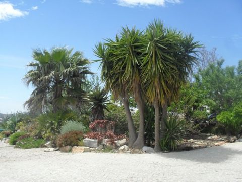 Casa rural en Loule - Detalles sobre el alquiler n65343 Foto n12