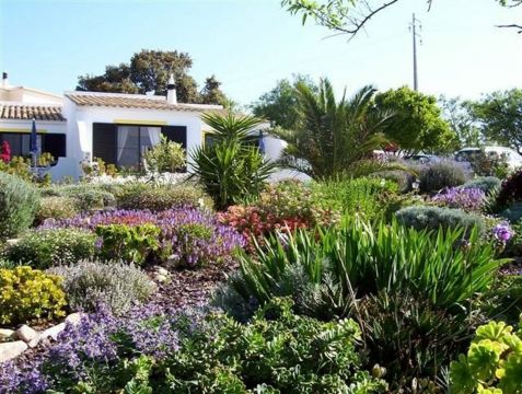 Casa rural en Loule - Detalles sobre el alquiler n65343 Foto n19