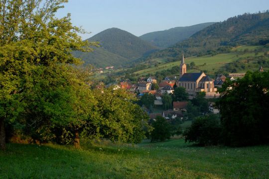 Chalet à Breitenbach - Location vacances, location saisonnière n°65504 Photo n°18