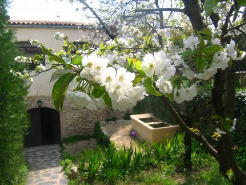 Casa rural en Montagnac - Detalles sobre el alquiler n65514 Foto n2