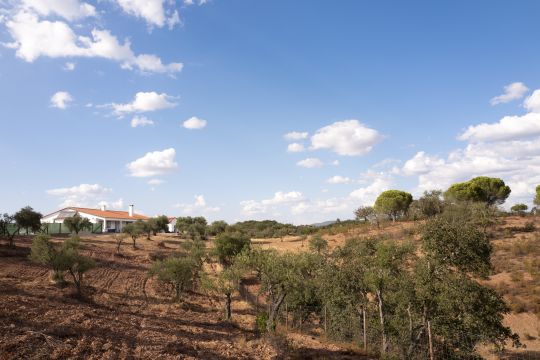 Casa en Vila verde de ficalho Portugal - Detalles sobre el alquiler n65534 Foto n1