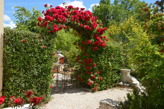 Gite in Montbrun-les-Bains - Vakantie verhuur advertentie no 65559 Foto no 8