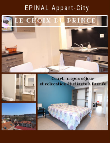 Gite  Epinal pour  6 •   animaux accepts (chien, chat...) 