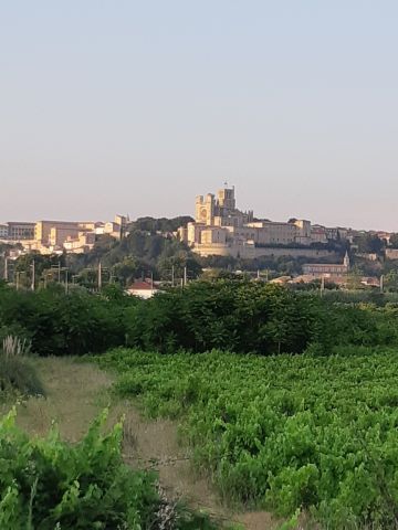 Casa en Beziers - Detalles sobre el alquiler n65726 Foto n10