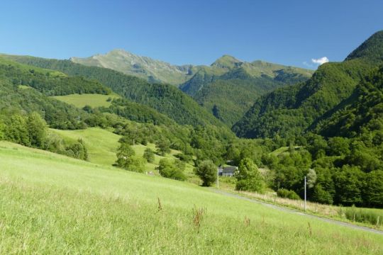 Casa rural en Gazost - Detalles sobre el alquiler n65798 Foto n7