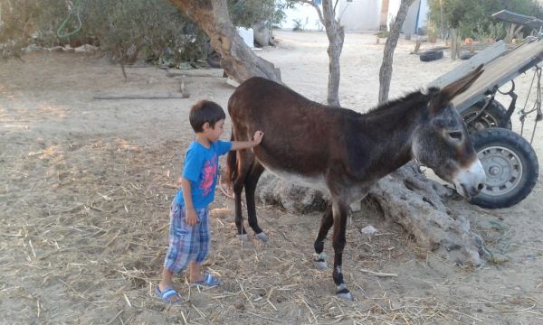 Studio in Djerba - Vacation, holiday rental ad # 65971 Picture #4