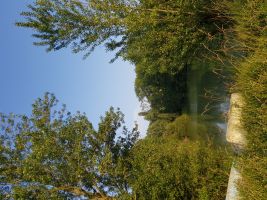 Haus in Rieumes fr  10 •   Privat Parkplatz 