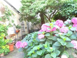 Gite in Paris for   2 •   garden 