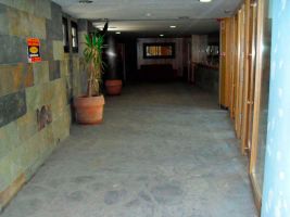 Flat in Sierra nevada for   4 •   animals accepted (dog, pet...) 