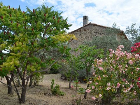 Casa en Cotignac - Detalles sobre el alquiler n66101 Foto n3