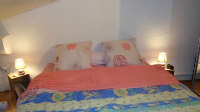 Appartement in Calcatoggio - Anzeige N  66165 Foto N4