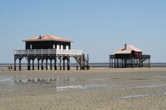 Maison  Arcachon - Location vacances, location saisonnire n66169 Photo n10