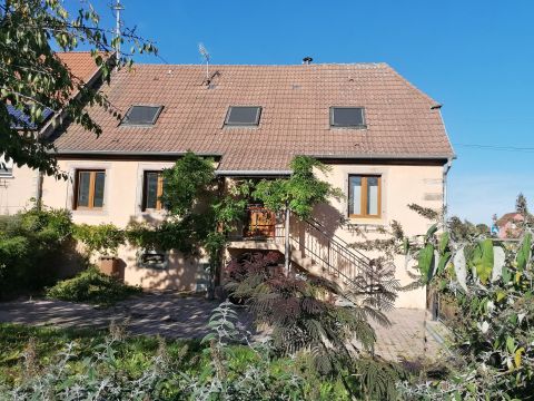 House in Sainte croix en plaine proche Colmar - Vacation, holiday rental ad # 66183 Picture #0