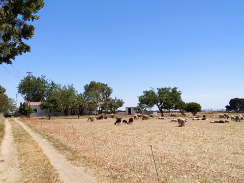 Finca en Utrera (Sevilla) - Detalles sobre el alquiler n66310 Foto n1