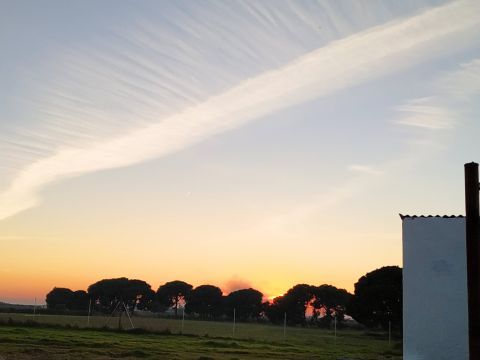 Ferme  Utrera (Sevilla) - Location vacances, location saisonnire n66310 Photo n16