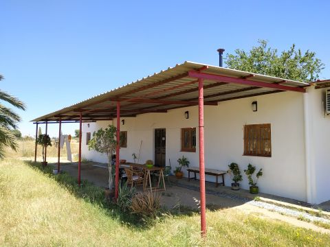 Farm in Utrera (Sevilla) - Vacation, holiday rental ad # 66310 Picture #3