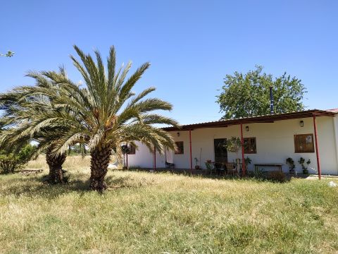 Farm in Utrera (Sevilla) - Vacation, holiday rental ad # 66310 Picture #6