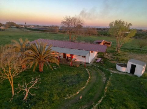Farm in Utrera (Sevilla) - Vacation, holiday rental ad # 66310 Picture #0