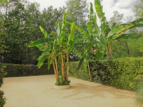 Casa rural en Auriac du prigord - Detalles sobre el alquiler n66357 Foto n14