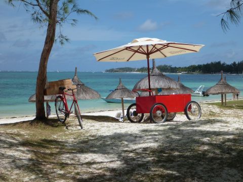 Gite in Trou aux biches - Vakantie verhuur advertentie no 66411 Foto no 4