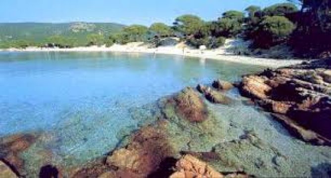 Mobile home in Porto vecchio - Vacation, holiday rental ad # 66429 Picture #5