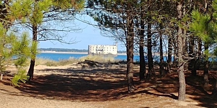 Casa de montaa en St pierre d'oleron - Detalles sobre el alquiler n66498 Foto n13