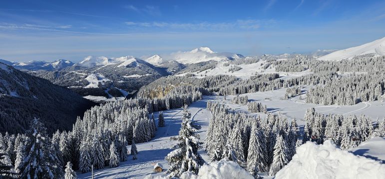 Appartement � Avoriaz - Location vacances, location saisonni�re n�66510 Photo n�9