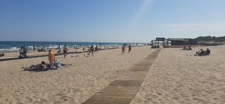 Apartamento en Marseillan - Detalles sobre el alquiler n66561 Foto n12