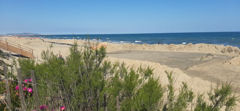Apartamento en Marseillan - Detalles sobre el alquiler n66561 Foto n13