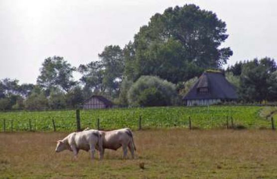 Haus in Ste-Marguerite-Sur-Mer - Anzeige N  66602 Foto N19