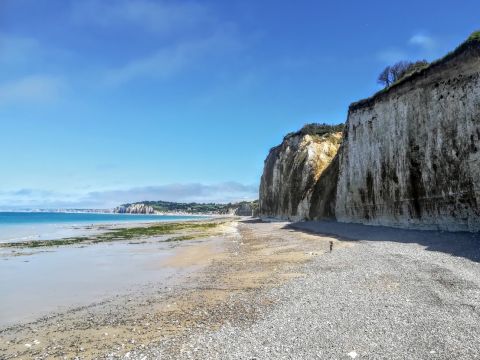 Casa en Ste-Marguerite-Sur-Mer - Detalles sobre el alquiler n66602 Foto n9