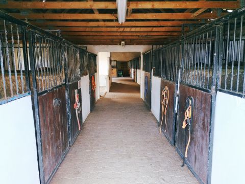 Casa rural en Saint gilles - Detalles sobre el alquiler n66617 Foto n11