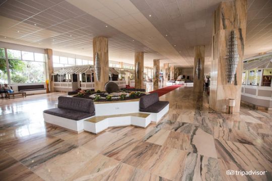 Apartamento en Aeroport Reina Sofia Tenerife - Detalles sobre el alquiler n66699 Foto n12