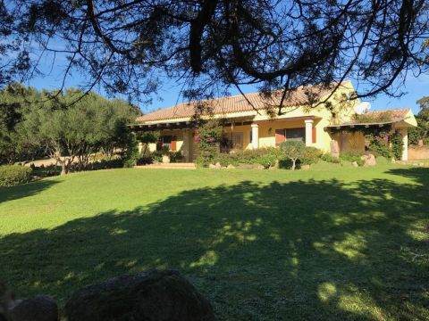 Casa rural en Arzachena - Detalles sobre el alquiler n66713 Foto n0