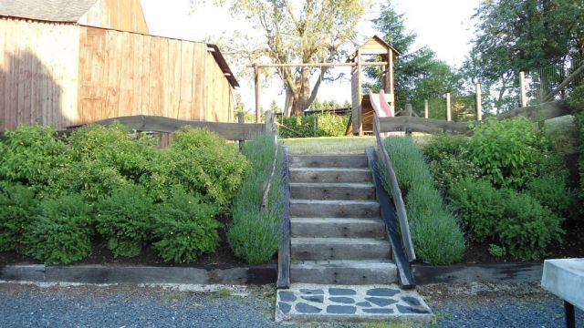 Casa rural en Martelange - Detalles sobre el alquiler n66845 Foto n3