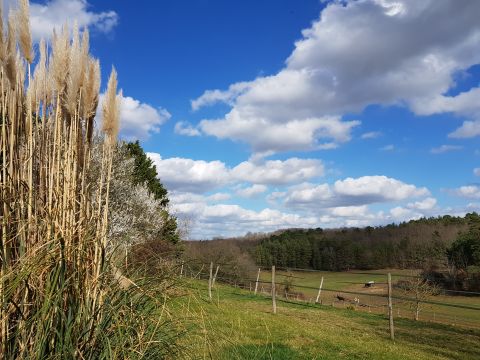 Gite in Fossemagne - Anzeige N  66896 Foto N14