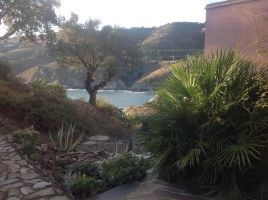 Gite in Cerbere for   4 •   with private pool 