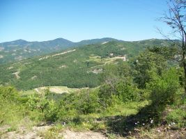 Gite in San giustino fr  4 •   Haustiere erlaubt (Hund, Katze... ) 