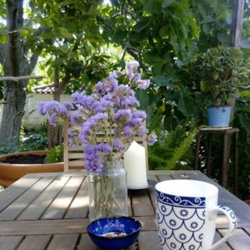 Chalet � Eressos - Location vacances, location saisonni�re n�67013 Photo n�13