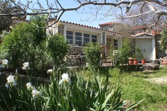 Chalet � Eressos - Location vacances, location saisonni�re n�67013 Photo n�8