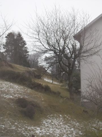 Maison  Gerardmer - Location vacances, location saisonnire n67070 Photo n15