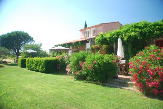 Maison  Mouries - Location vacances, location saisonnire n67097 Photo n4