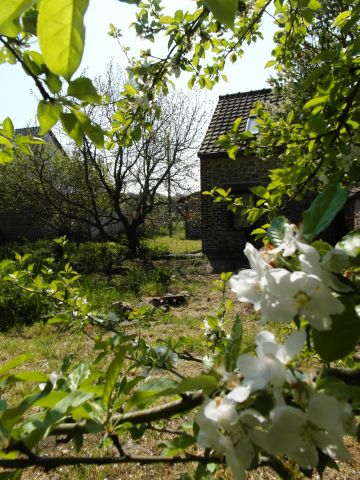 Casa rural en Stambruges - Detalles sobre el alquiler n67111 Foto n2