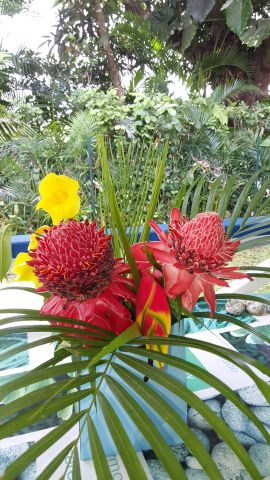 Maison  Petit bourg - Location vacances, location saisonnire n67273 Photo n0