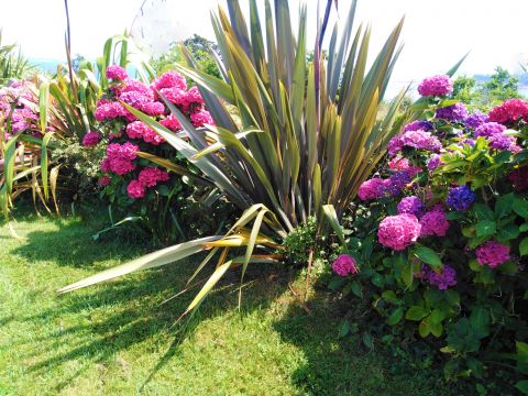 Casa rural en Roscoff - Detalles sobre el alquiler n67322 Foto n12