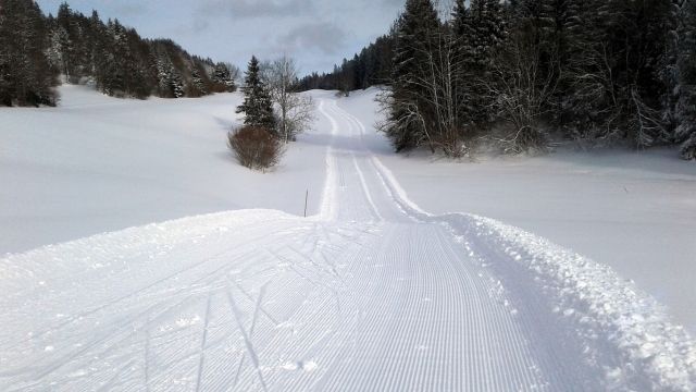 Gite in Hauterive-la-Fresse - Anzeige N  67348 Foto N15