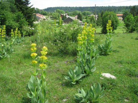 Casa rural en Hauterive-la-Fresse - Detalles sobre el alquiler n67348 Foto n9