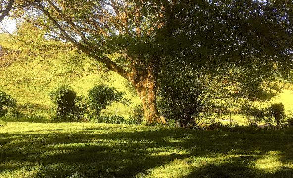 Casa rural en Lalizolle - Detalles sobre el alquiler n67358 Foto n5